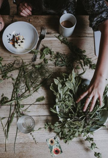 banner-image-ingredient-profiles